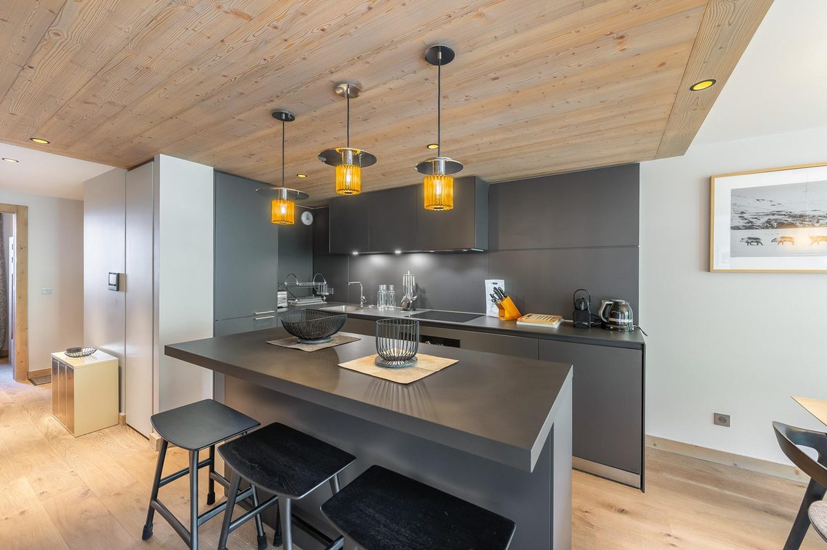 Phoenix 401 interior view 4