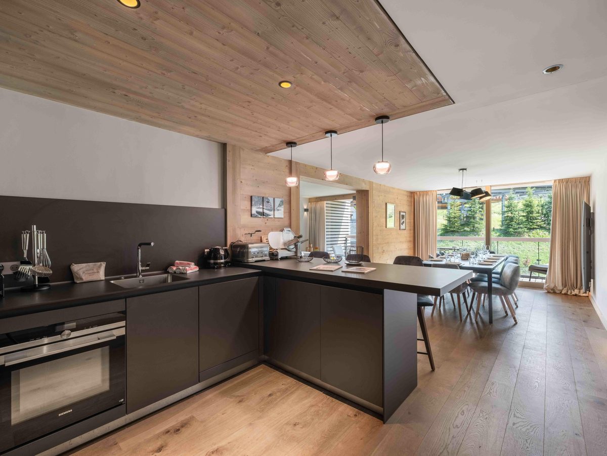 Phoenix 205 interior view 5