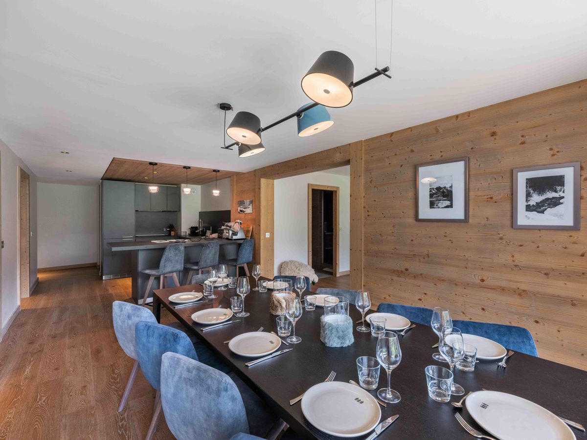 Phoenix 205 interior view 3