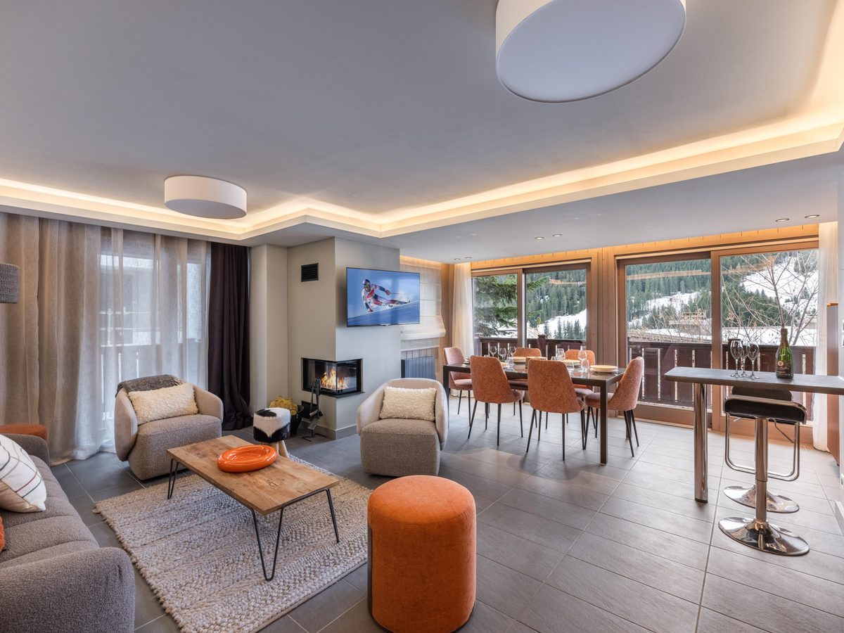 Simmental interior view 5